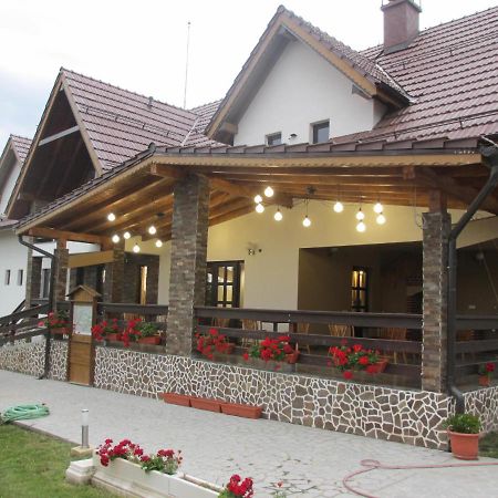Nut House Retezat Hotel Nucsoara  Bagian luar foto