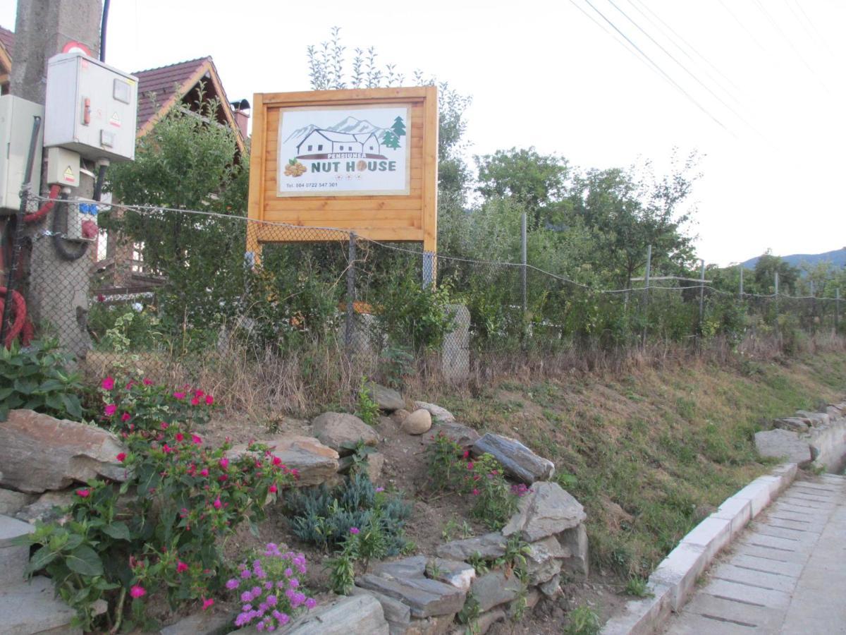 Nut House Retezat Hotel Nucsoara  Bagian luar foto