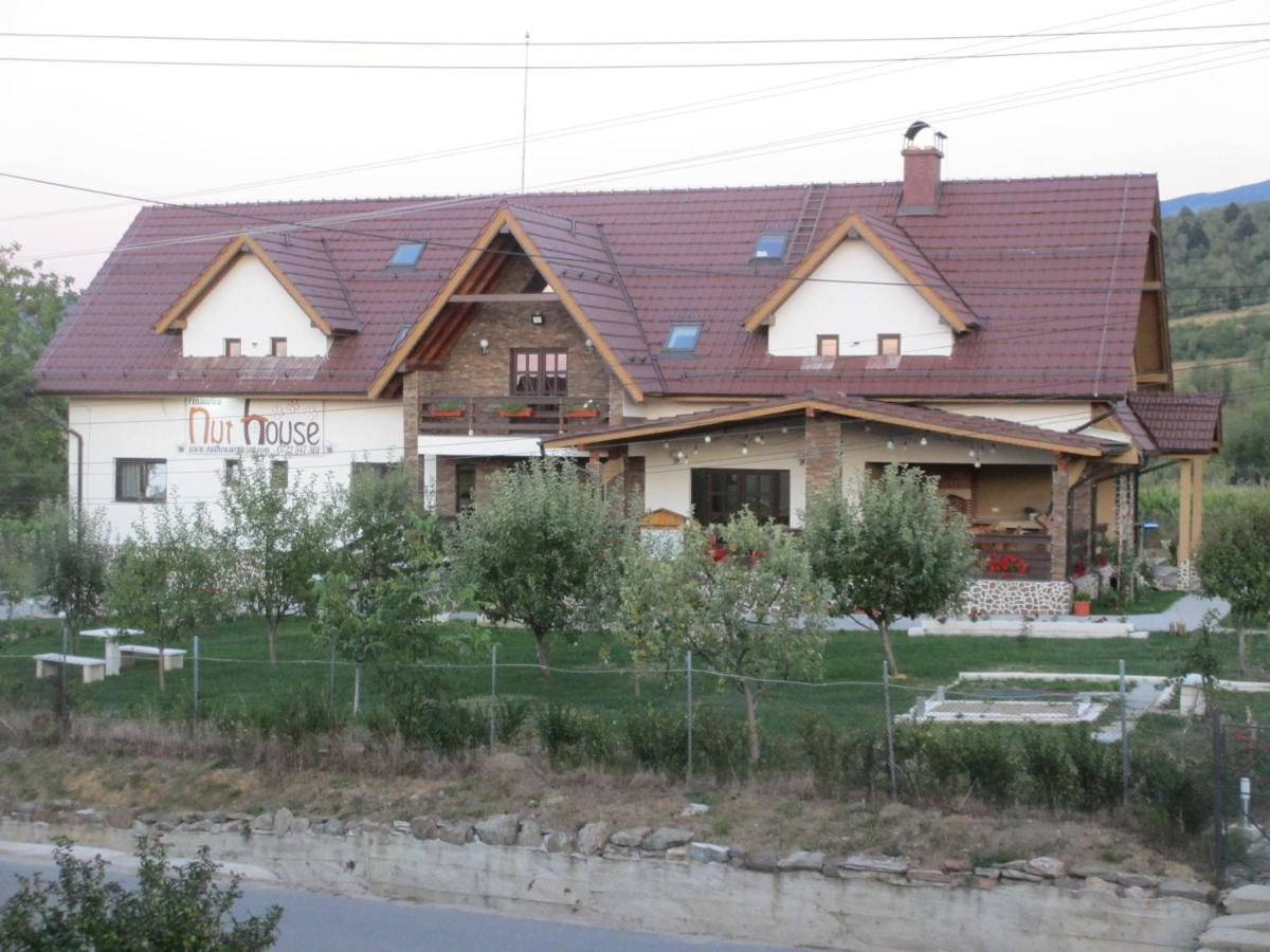 Nut House Retezat Hotel Nucsoara  Bagian luar foto