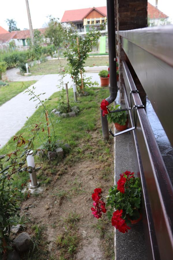Nut House Retezat Hotel Nucsoara  Bagian luar foto