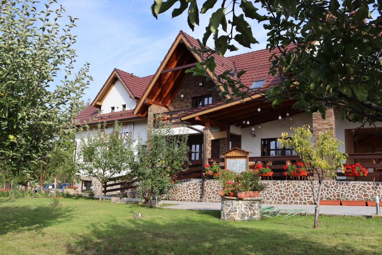 Nut House Retezat Hotel Nucsoara  Bagian luar foto