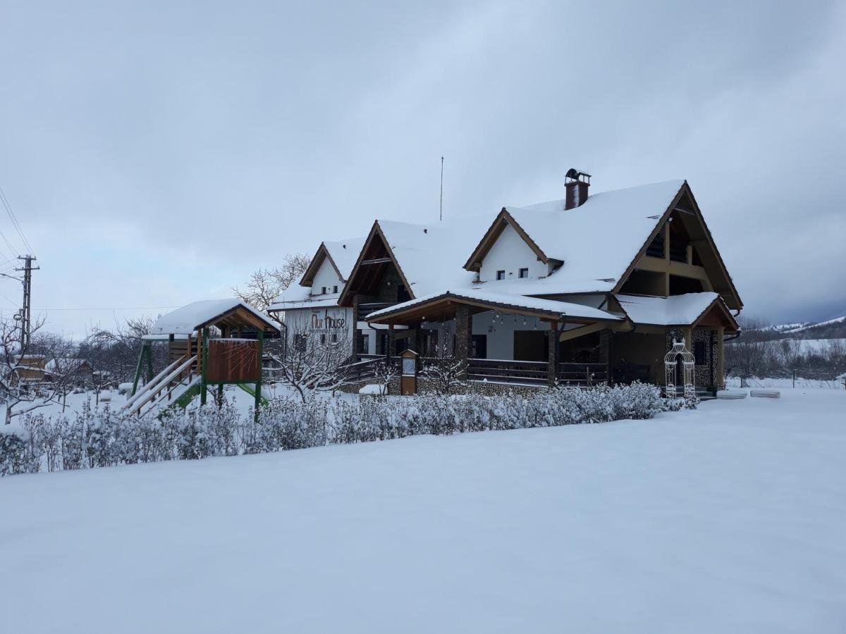 Nut House Retezat Hotel Nucsoara  Bagian luar foto
