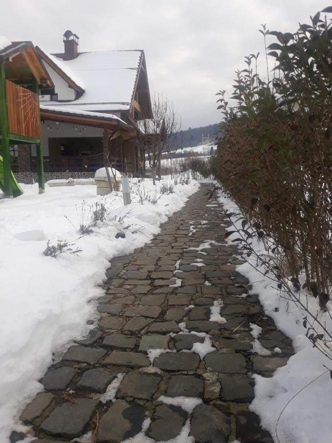 Nut House Retezat Hotel Nucsoara  Bagian luar foto