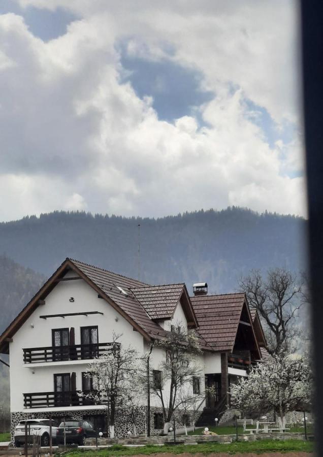 Nut House Retezat Hotel Nucsoara  Bagian luar foto