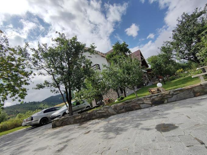 Nut House Retezat Hotel Nucsoara  Bagian luar foto